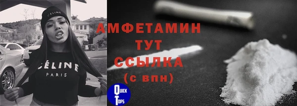 сатива Балахна