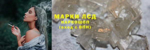 сатива Балахна
