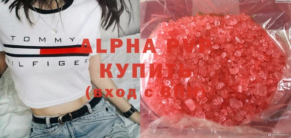 сатива Балахна