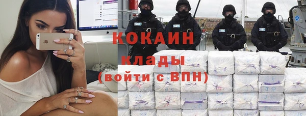 сатива Балахна