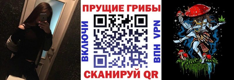нарко площадка Telegram  Печора  Галлюциногенные грибы MAGIC MUSHROOMS  где купить наркоту 